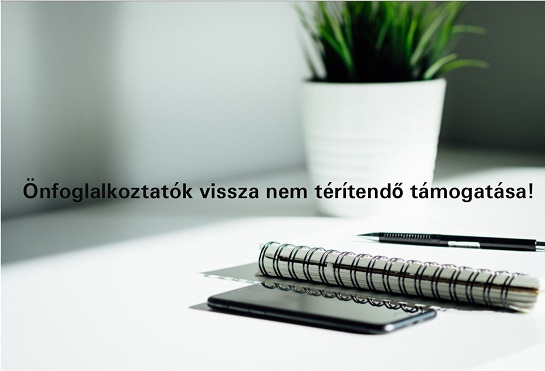Önfoglalkoztatók